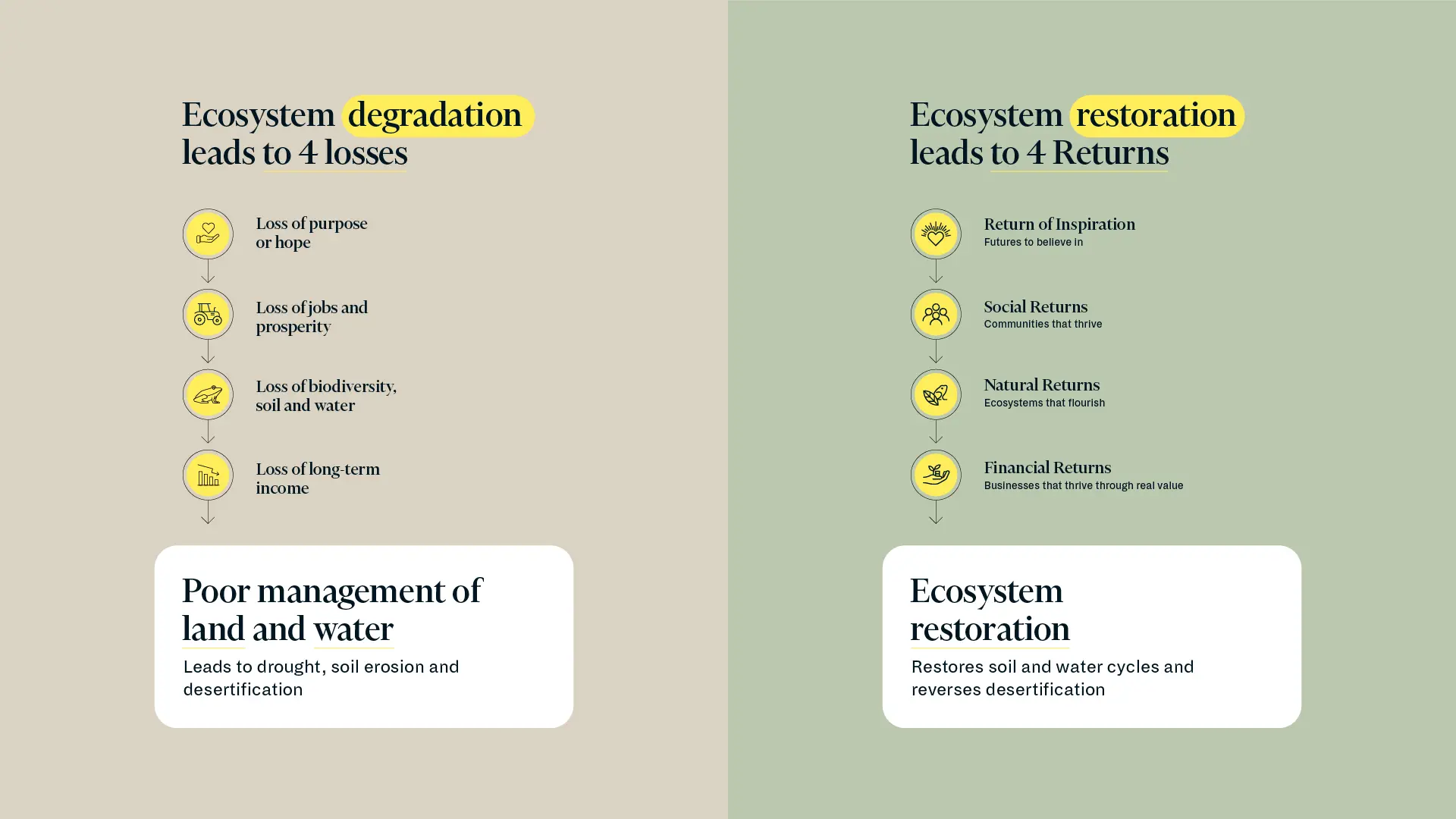 Infographic: the 4 Losses (hope, social networks, biodiversity, economic value) mapped to the 4 Returns (inspiration, social, natural, financial).